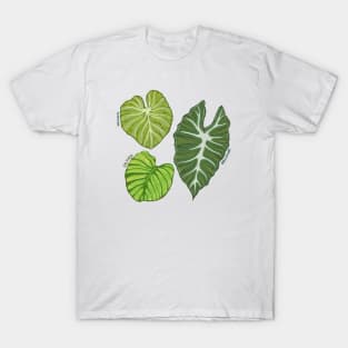 Three Leaves T-Shirt